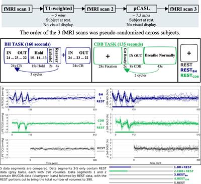 Lag-Optimized Blood Oxygenation Level Dependent Cerebrovascular Reactivity Estimates Derived From Breathing Task Data Have a Stronger Relationship With Baseline Cerebral Blood Flow